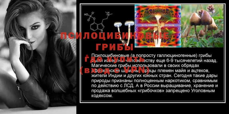 Галлюциногенные грибы GOLDEN TEACHER  Ульяновск 